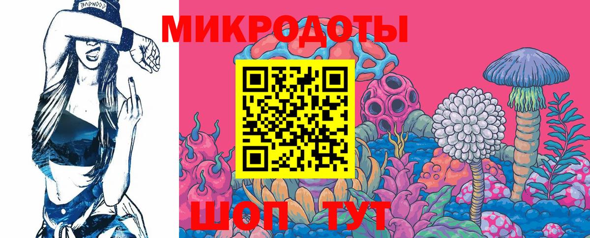 Галлюциногенные грибы Cubensis Коряжма
